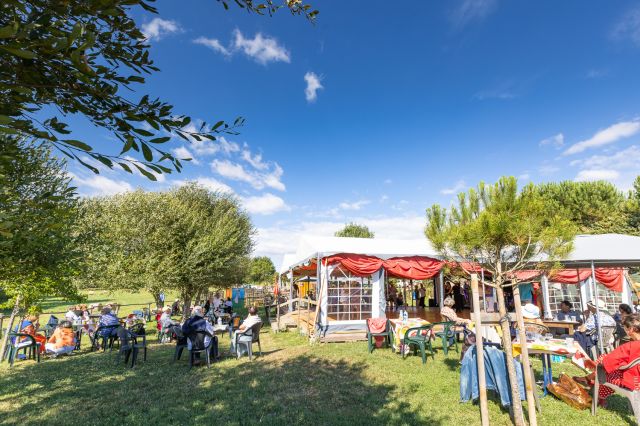Musique, danse et Soleil
