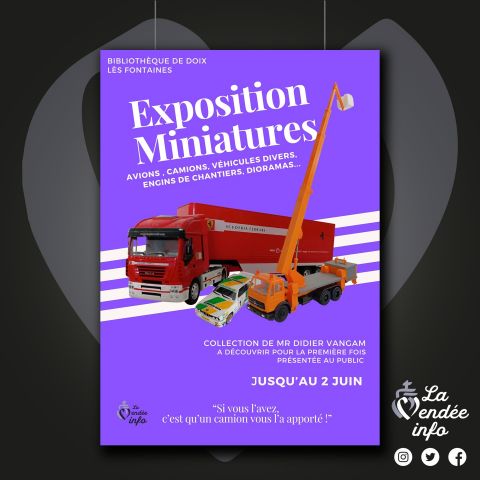 Expositions miniatures