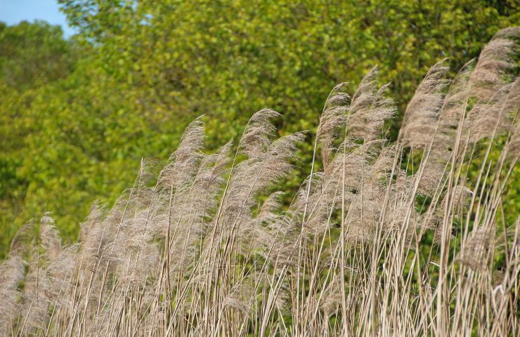Maison du maître des digues