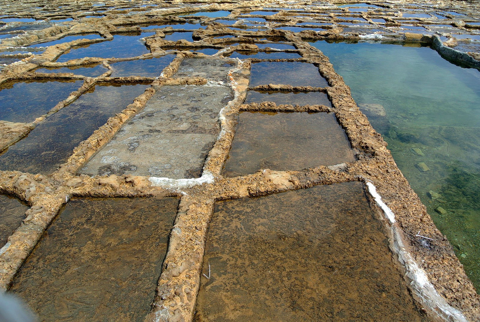 Marais Salants de la Vie