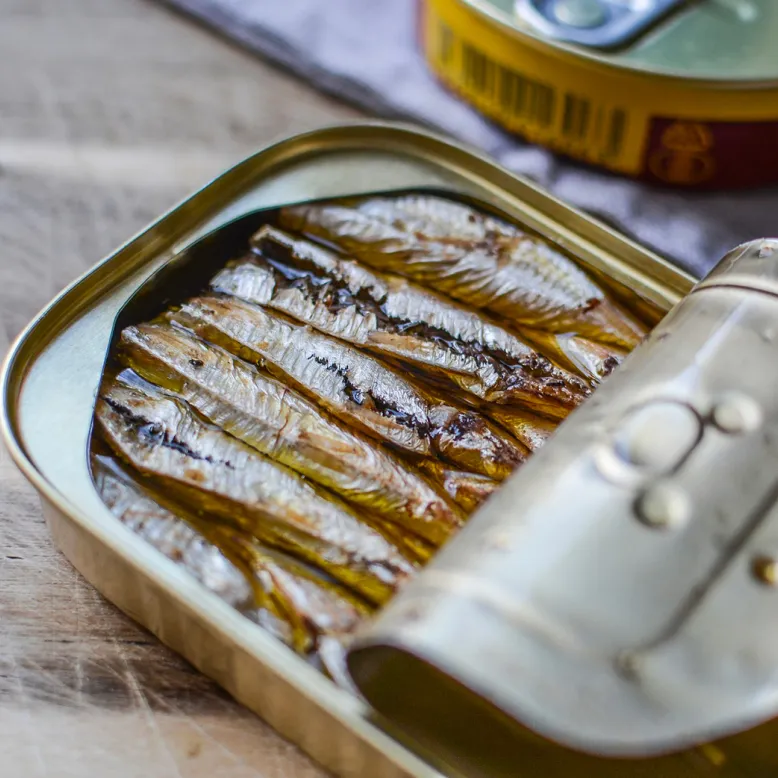 Sardine workshop