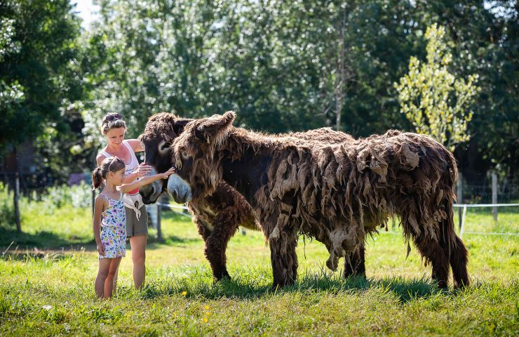Ferme du Marais Poitevin
