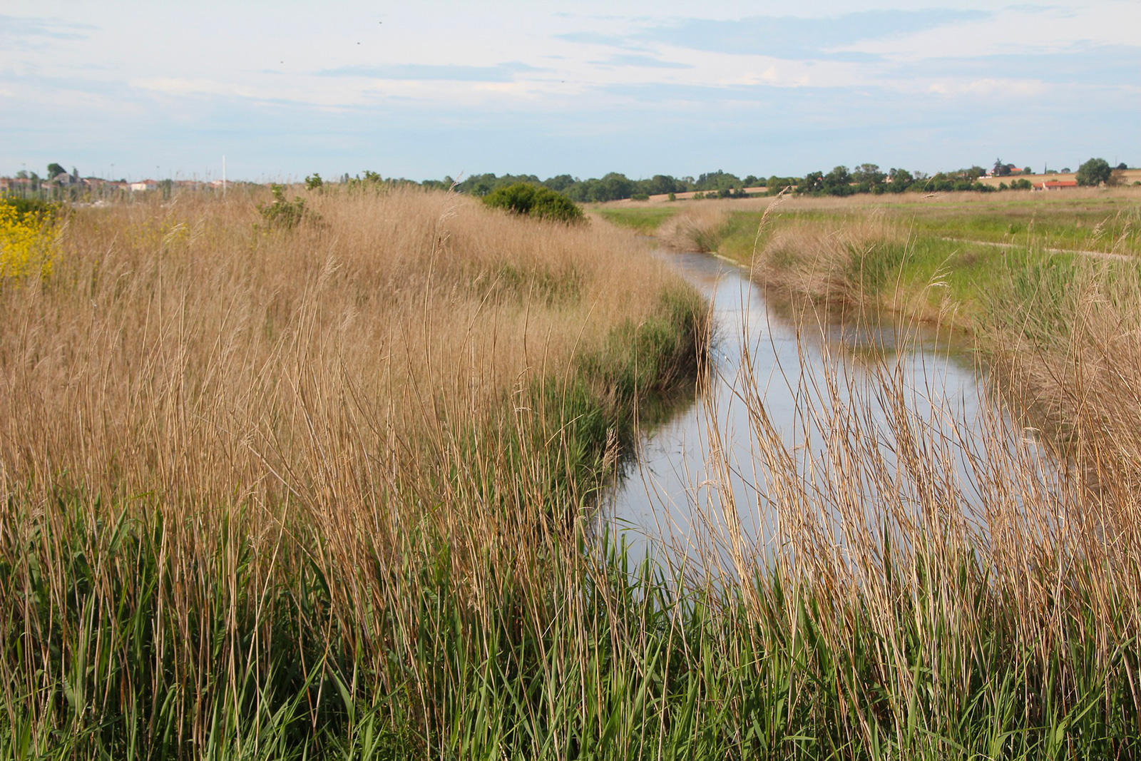 Farm of the Marais Poitevin