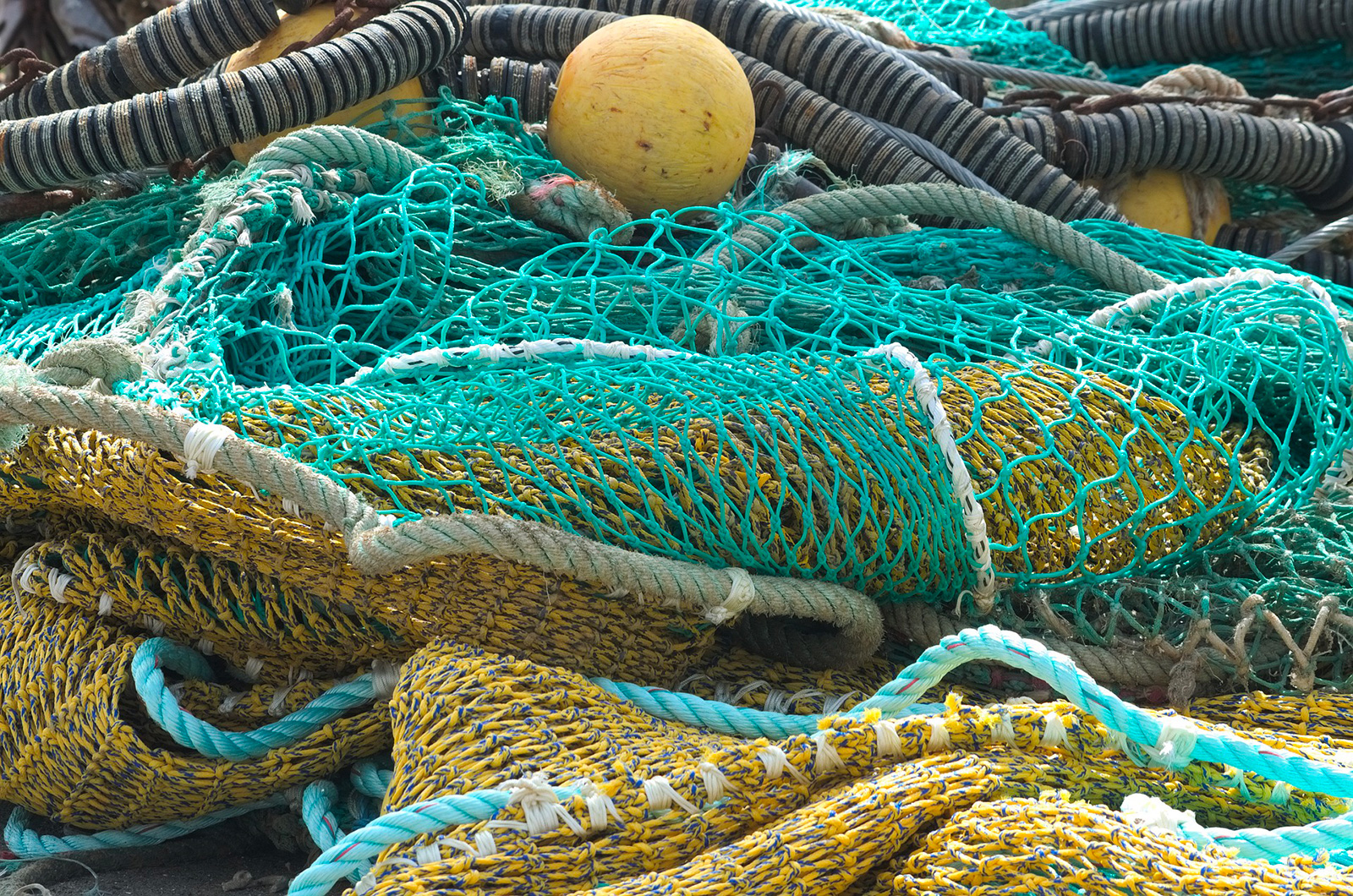 Maison des écluses à poissons et pêches tradit ...