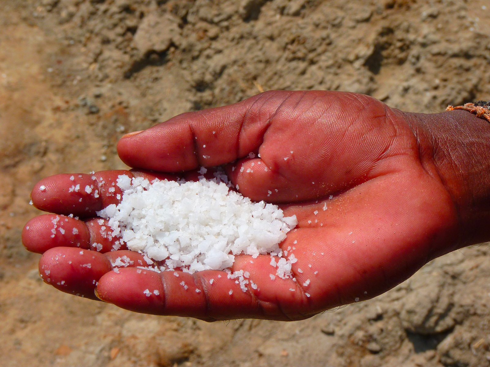 Marais salants de l'île d'Olonne