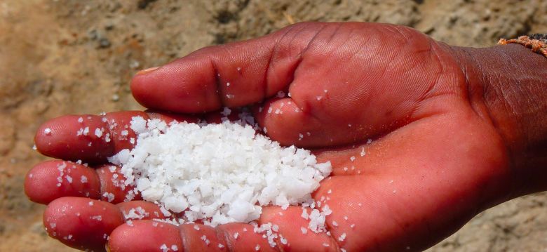 Marais salants de l'île d'Olonne