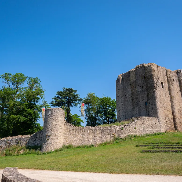 Pouzauges Castle