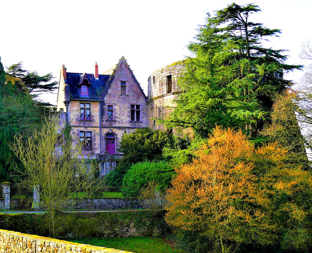 Castle of Mortagne-sur-Sevre
