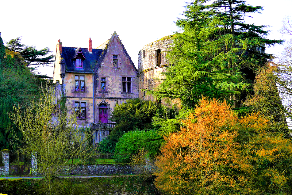 Castle of Mortagne-sur-Sevre