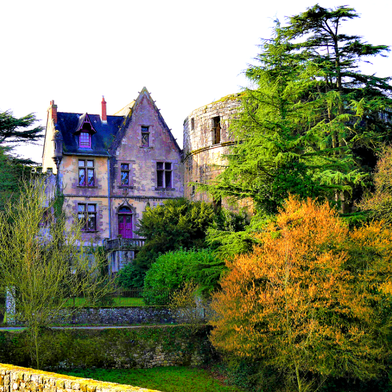 Castle of Mortagne-sur-Sevre