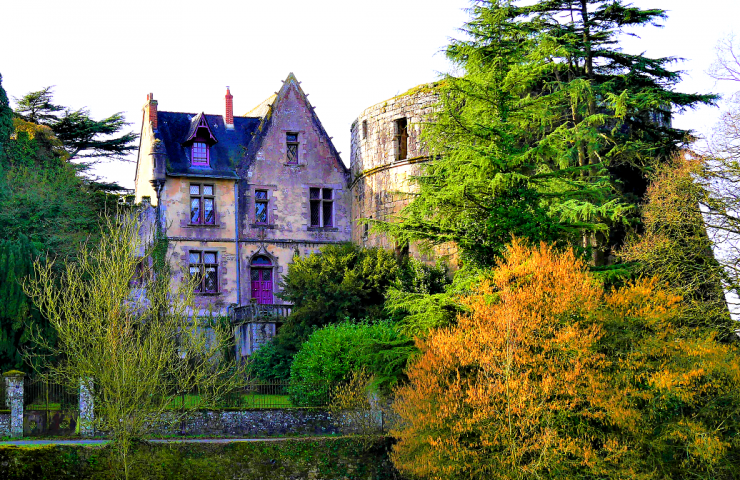 Castle of Mortagne-sur-Sevre