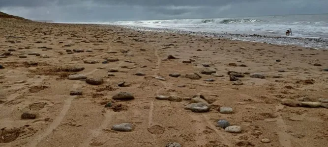 Plage des Dunes