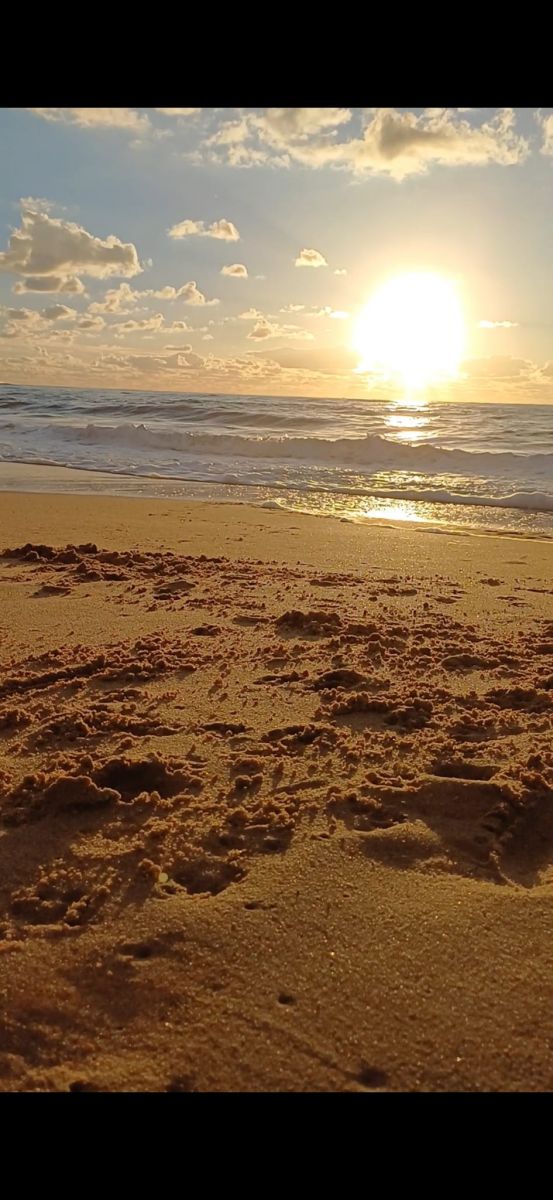 Plage de Tanchet