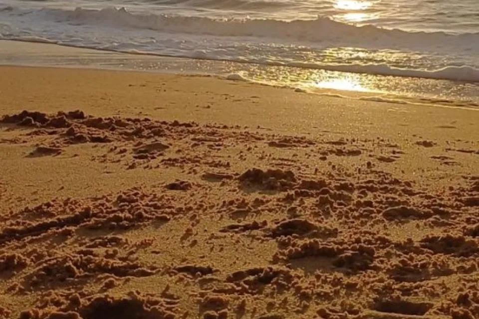 Plage de Tanchet