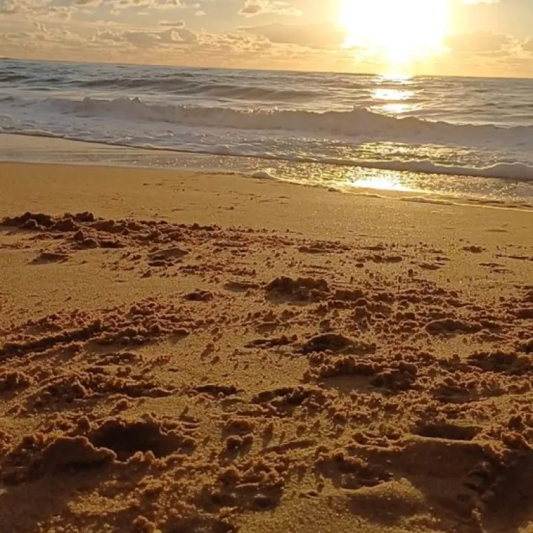 Plage de Tanchet