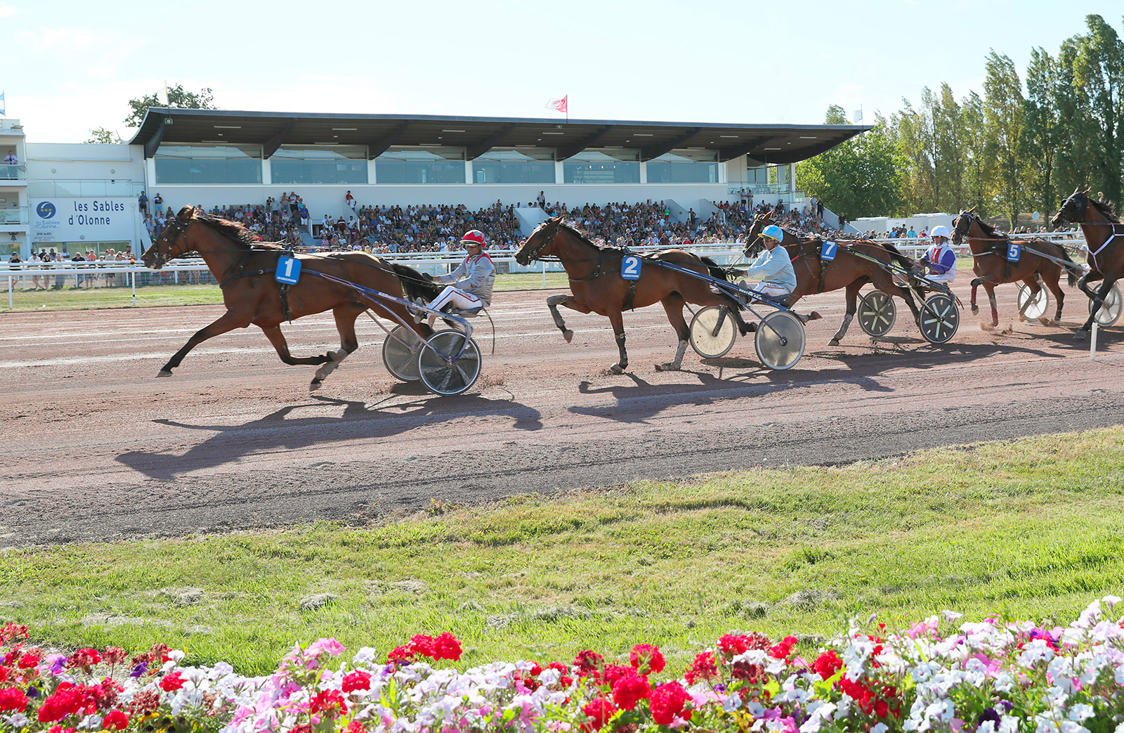 Hippodrome de la Malbrande - Hippodromes à Talmont-Saint-Hilaire ...