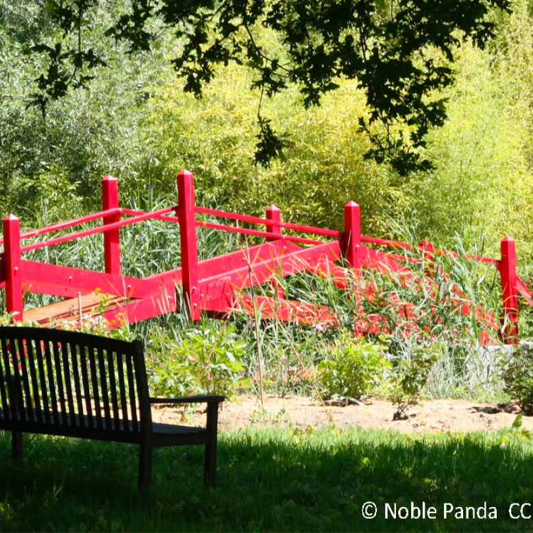 The Oriole Gardens