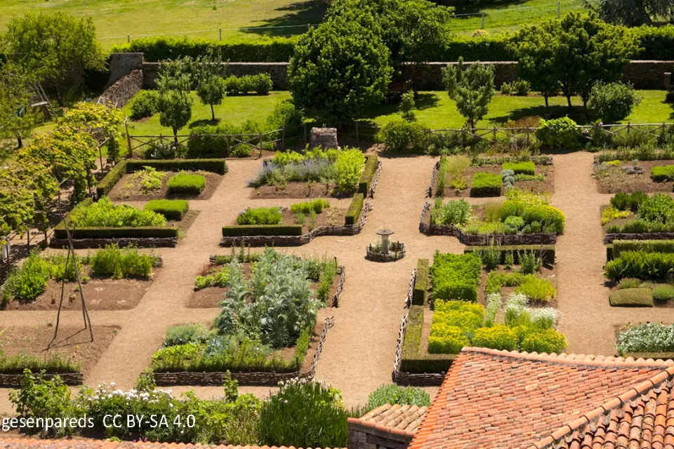 Medieval Garden
