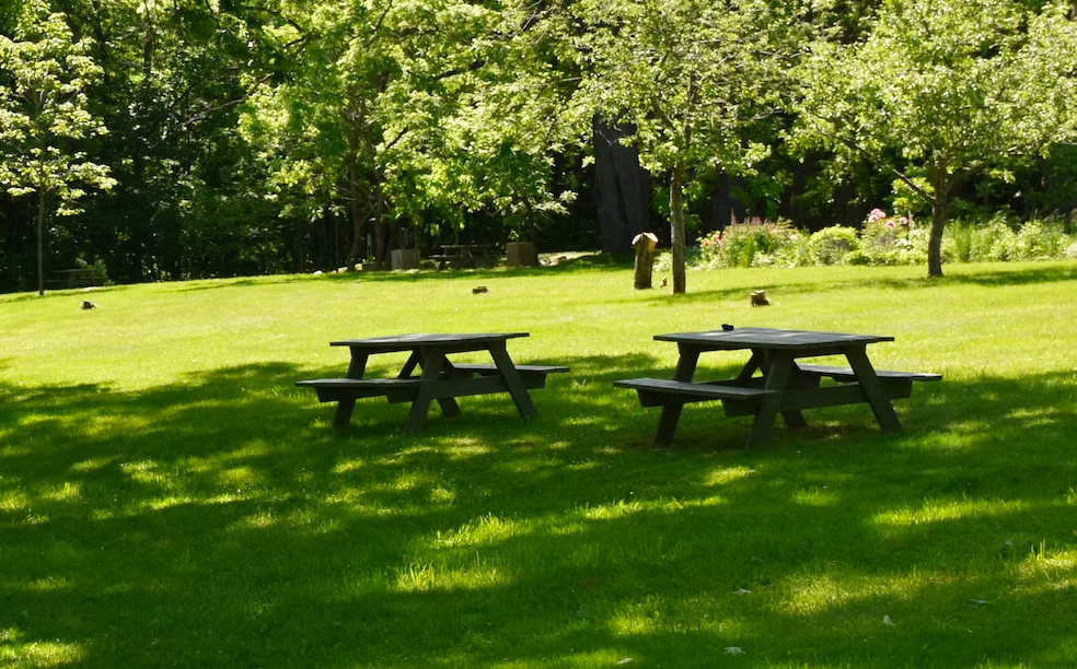 Parc municipal du Landreau