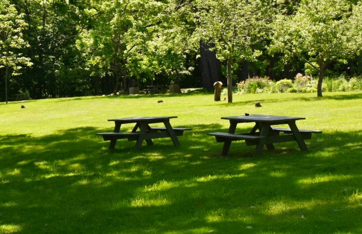 Municipal park of Landreau