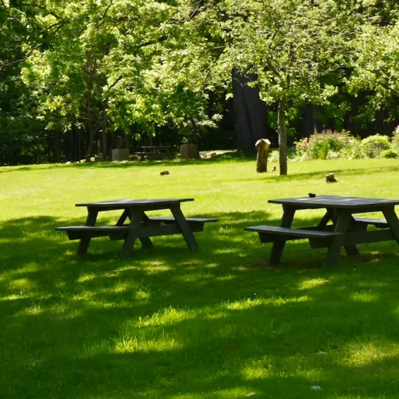 Parc municipal du Landreau