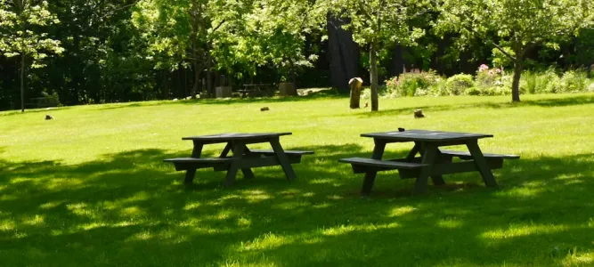 Parc municipal du Landreau