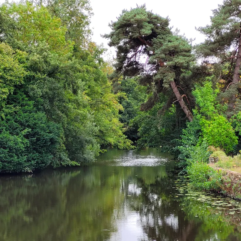 Le parc de Belleroche