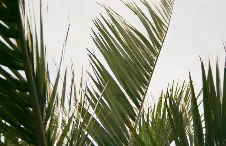 Les jardins du Logis de la Robliniere