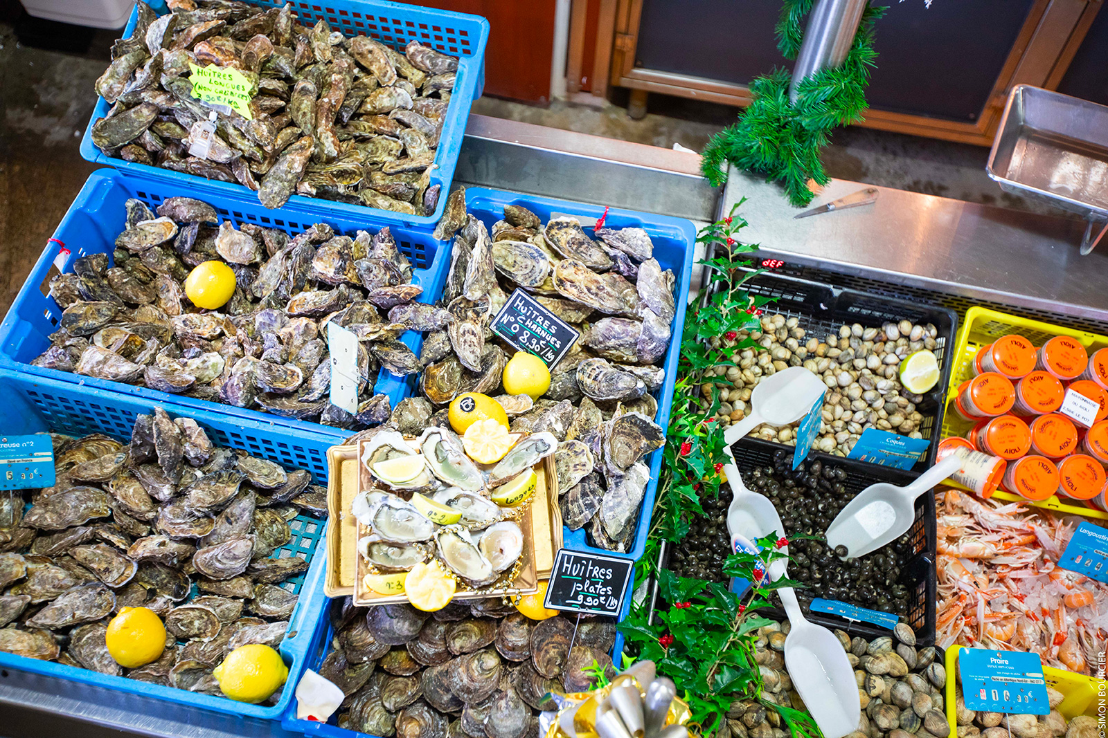 Sud vent d'écailler - Huîtres / Moules / Fruits de mer à  Sainte-Gemme-la-Plaine - Guide de la Vendée