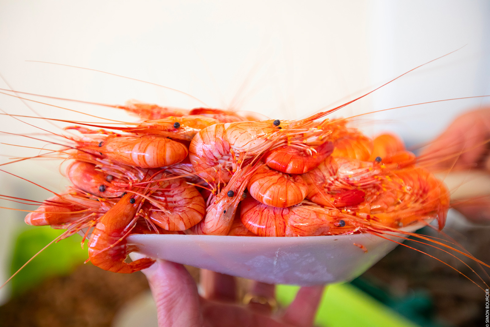 Sud vent d'écailler - Huîtres / Moules / Fruits de mer à  Sainte-Gemme-la-Plaine - Guide de la Vendée