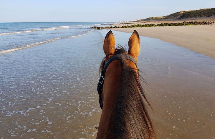 La chevauchée des dunes