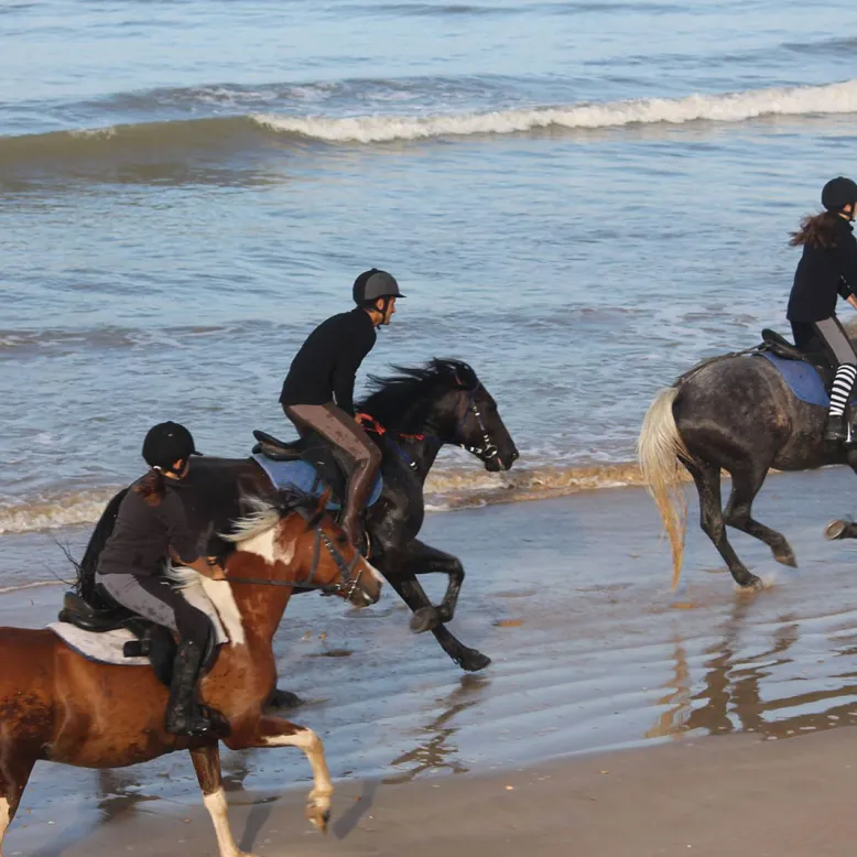 La chevauchée des dunes
