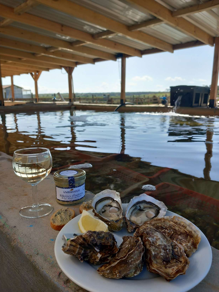 Guyau Oysters