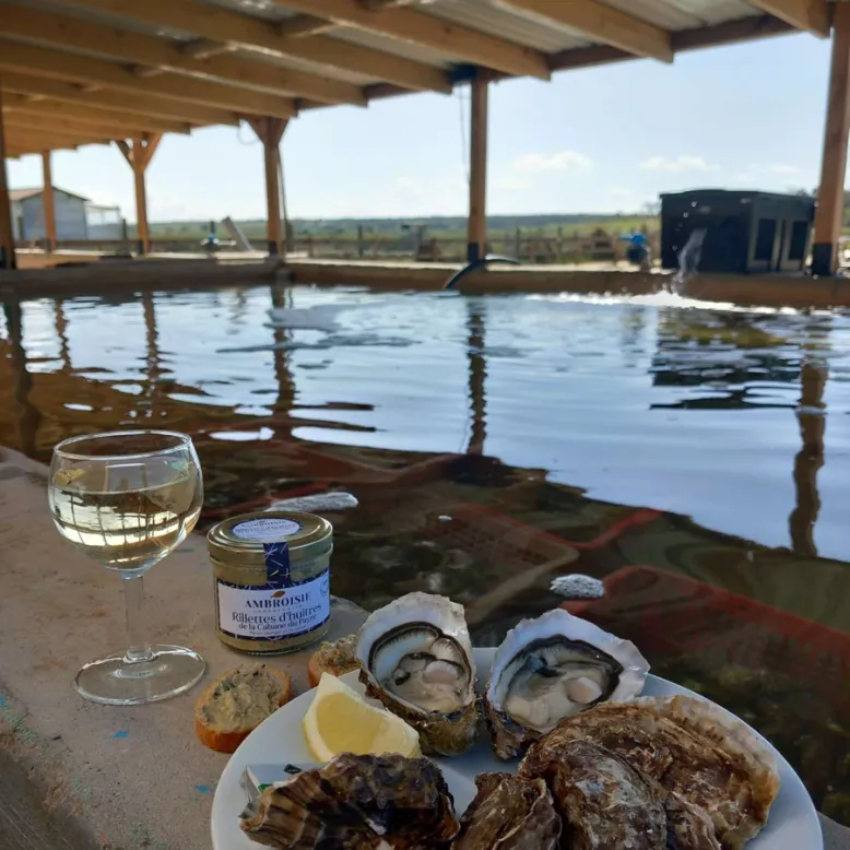 Guyau Oysters