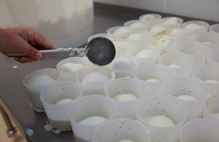 Bergerie du Brandais