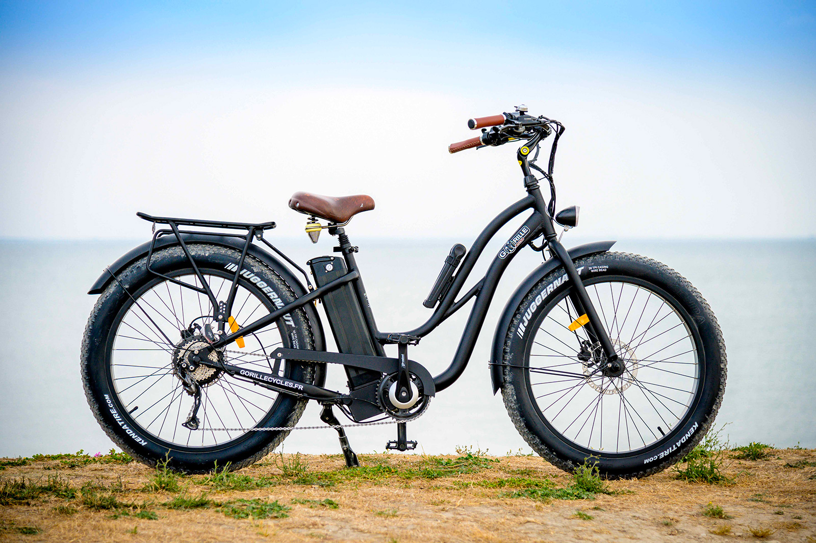 Beach Bikes Saint-Hilaire-de-Riez