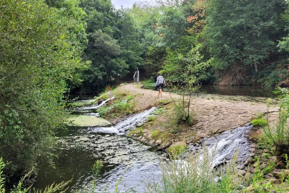 Rives-de-l'Yon