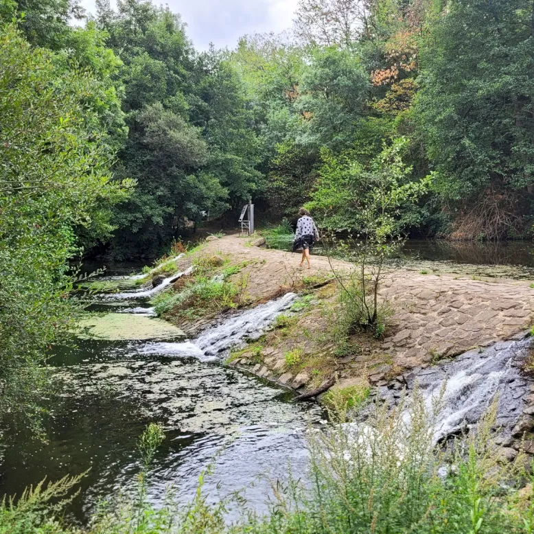 Rives-de-l'Yon