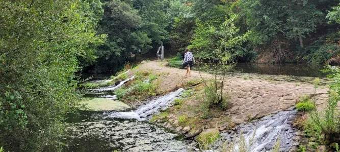 Rives-de-l'Yon