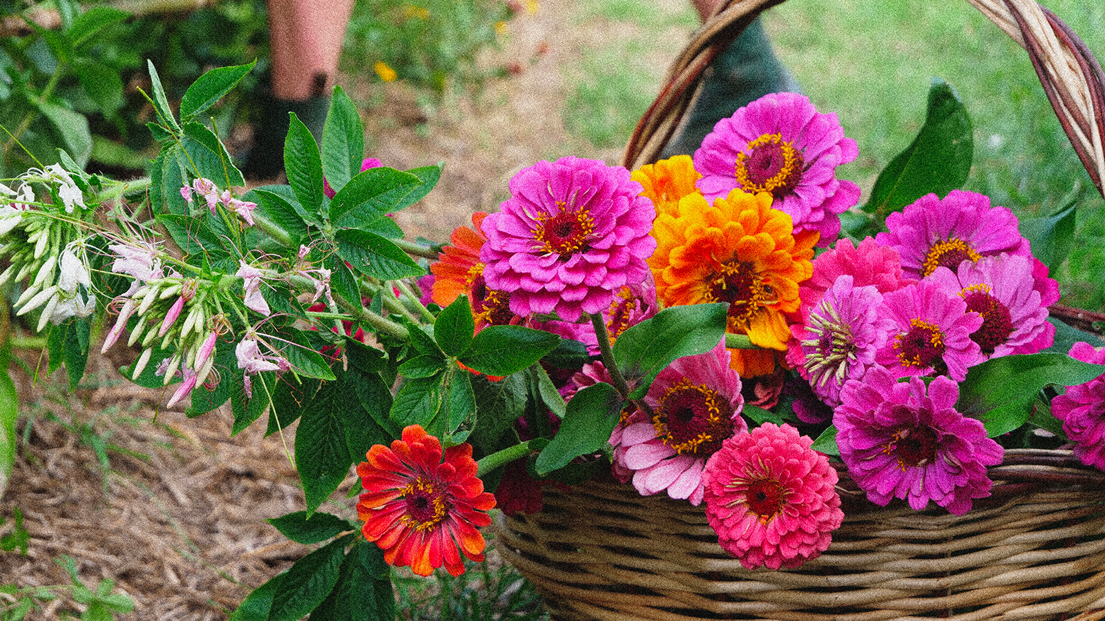 Butine Floral Farm