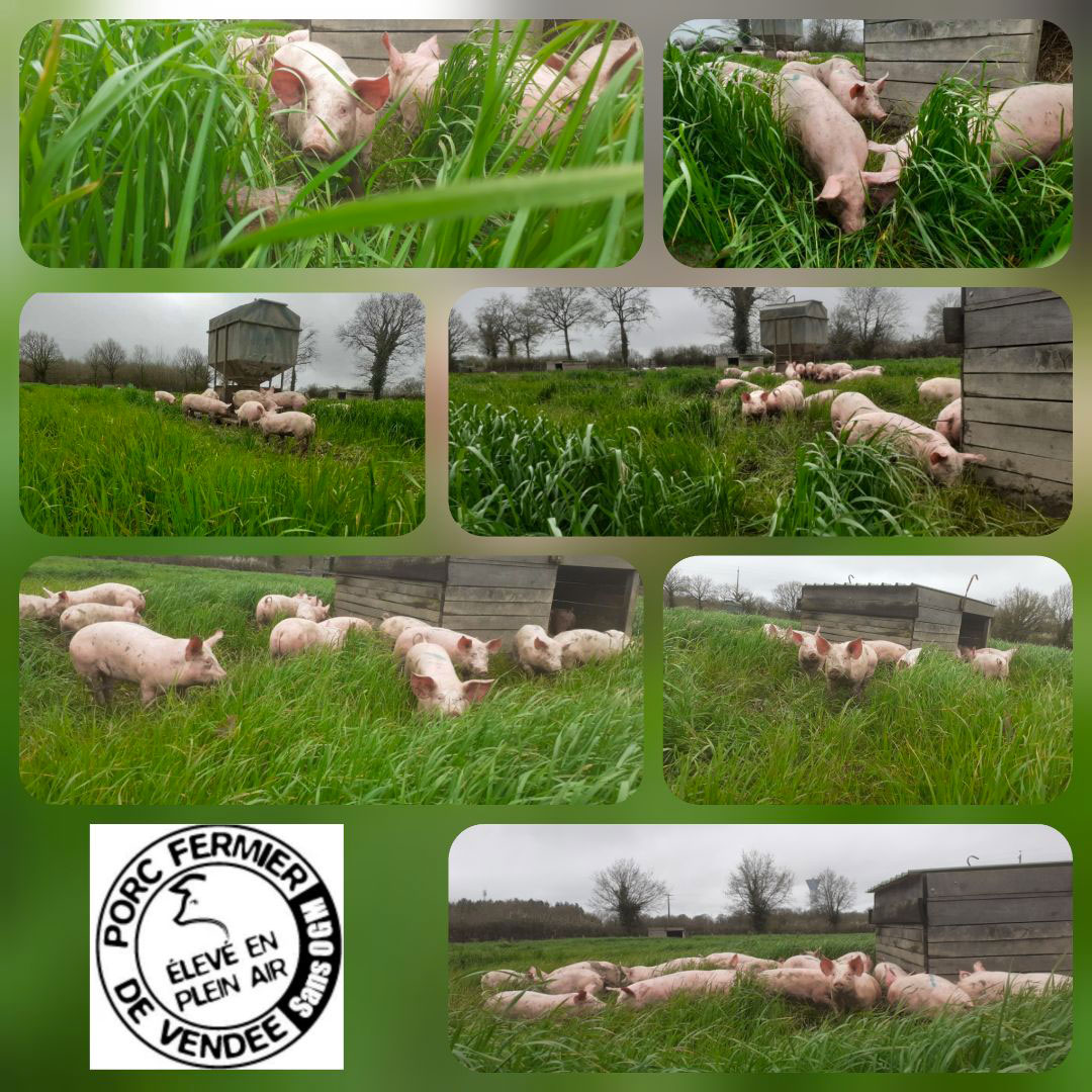 The Vaiquerie farm