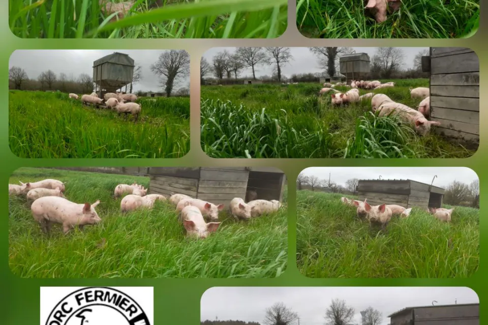 The Vaiquerie farm