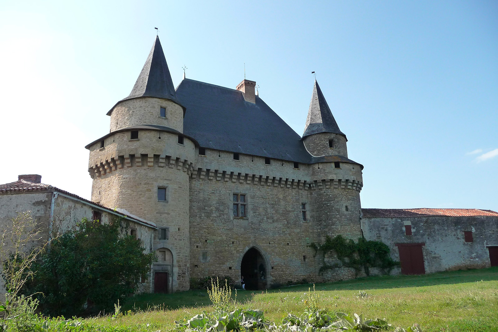 Feudal castle of Sigournais