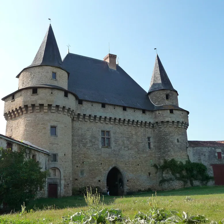 Feudal castle of Sigournais