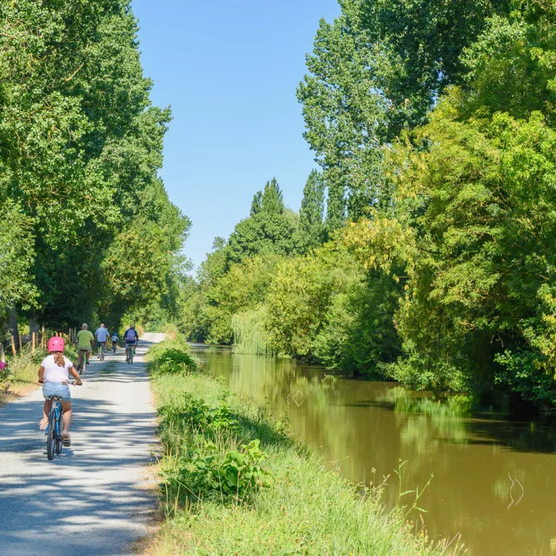 Original Vélo Tour