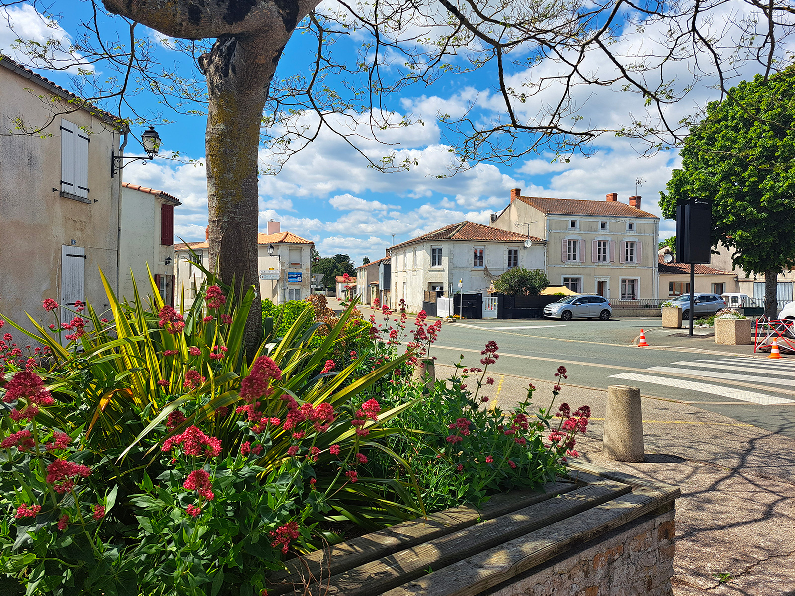 Saint-Cyr-en-Talmondais