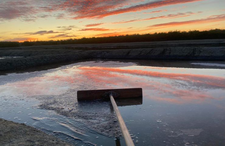 Sel de L'Ile d'Olonne