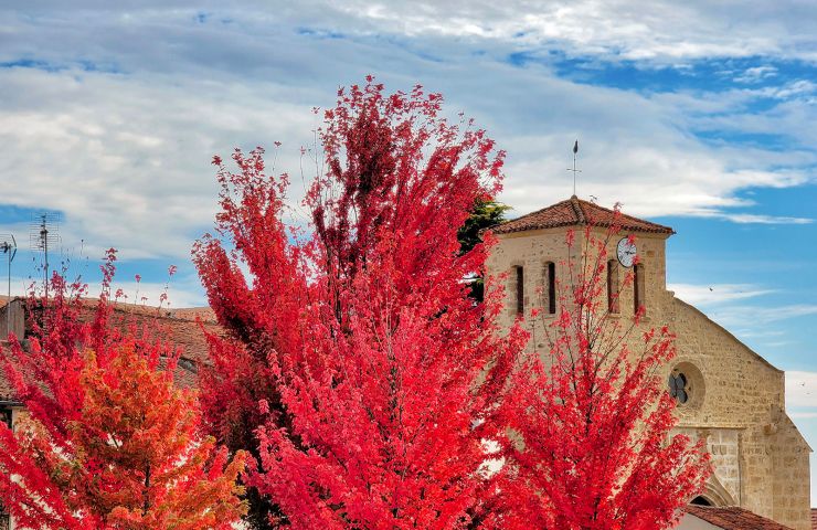 Église Saint-Médard de Mervent