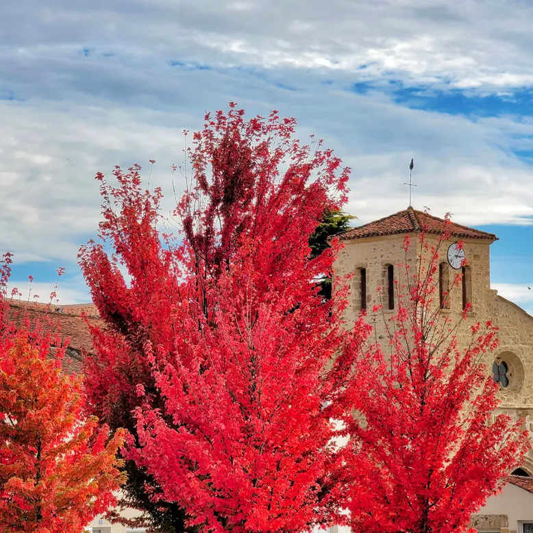 Saint-Medard de Mervent church