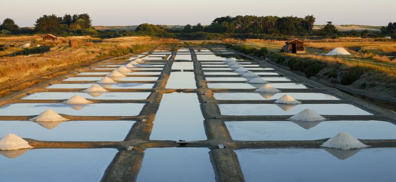 Coopérative des Producteurs de sel de l’Ouest, ...